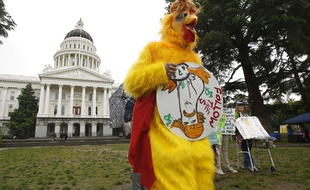 Des manifestants demandent à Donald Trump de publier sa feuille d'impôts, à Sacramento le 12 avril 2017.