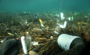Des déchets au fond de la mer. (Illustration)
