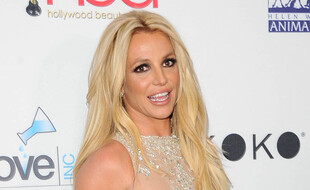 La chanteuse Britney Spears