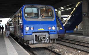 Illustration d'un TER en gare de Rennes (Ille-et-Vilaine).