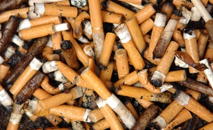 Chaque année, 30 milliards de mégots sont jetés par terre.