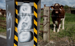 Un radar automatique vandalisé à Strazeele (image d'illustration).