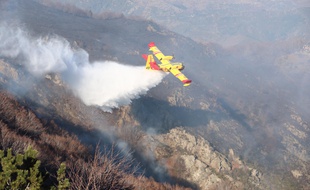 Un Canadair sur les lieux du sinistre, près de Valleraugue, ce dimanche