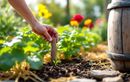 Ne laissez plus dépérir votre jardin quand vous partez en vacances ! 3 secrets bien gardés pour un extérieur autonome (sans effort)