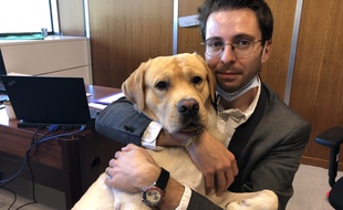 Depuis le mois de juin, la mairie de Grenoble autorise les salariés à venir travailler avec leurs chiens, comme ici Maxence Alloto et son labrador Pixel.