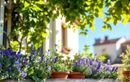 C’est le moment de choisir ces plantes increvables pour un balcon fleuri sans arrosage tout l’été