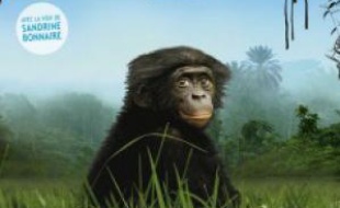 Affiche du film "Bonobos", sorti en salle le 30 mars 2011.