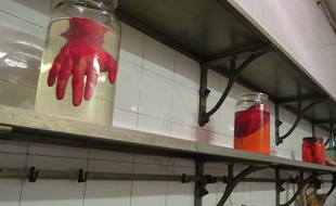 Dans le décor du «Festival des films et séries d'horreur avec les morts les plus improbables».