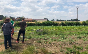 Visite d'une ferme avec des bénéficiaires du «panier accessible», par l'association Bio en Hauts-de-France.