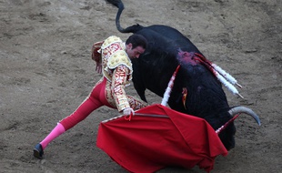 Illustration tauromachie