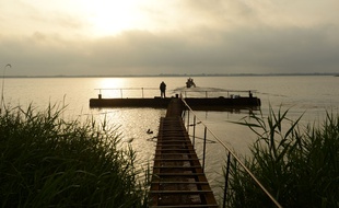 L'île de Patiras, sur l'estuaire de la Gironde