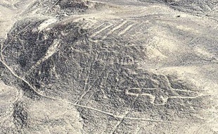 De nouveaux géoglyphes ont été découverts à Nazca, au Pérou, en juillet 2014