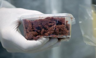 L'agence suédoise de la Sécurité alimentaire a demandé lundi à la justice d'enquêter sur une entreprise soupçonnée d'avoir fait passer de la viande de cheval d'origine polonaise pour du filet de boeuf suédois.