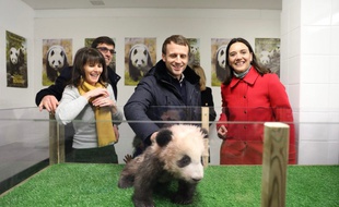 Le président de la République Emma nuel Macron aux côtés de sa famille, a rencontré le panda Yuan Meng