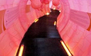 A l'intérieur de l'installation gonflable.