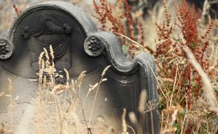 Illustration d'une tombe à l'abandon dans un champ
