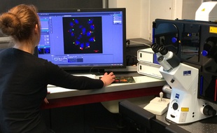 Au centre de bio-imaging de l'Institut Pasteur de Lille