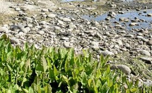 Il est tombé 425 litres d'eau au m2 en 2011, la normale étant de 670 litres.