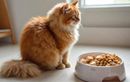 L’erreur alimentaire qui met la santé de votre chat stérilisé en danger et comment la corriger facilement