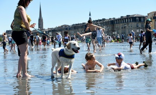 Le miroir d'eau à Bordeaux