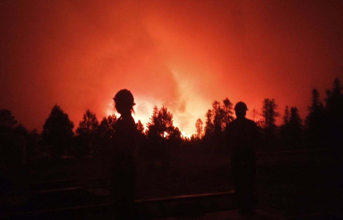 Etats-Unis : Dragon Bravo, un incendie géant d'une intensité historique, ravage le Grand Canyon