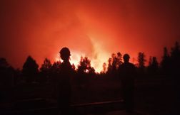 Dragon Bravo, un incendie géant, ravage le Grand Canyon