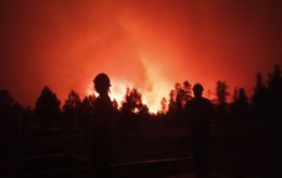 Dragon Bravo, un incendie géant, ravage le Grand Canyon