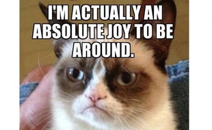 Grumpy Cat