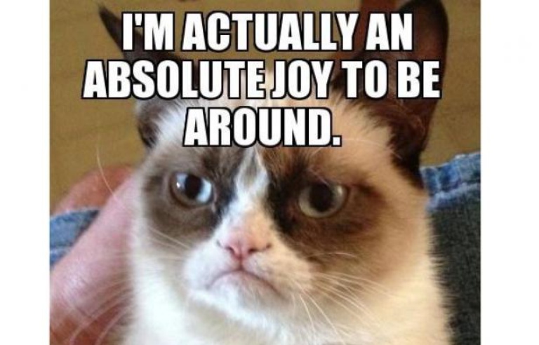 Grumpy Cat Futur Heros D Un Film Dans La Veine De Garfield Grumpy Cat Futur Heros D Un Film Dans La Veine De Garfield