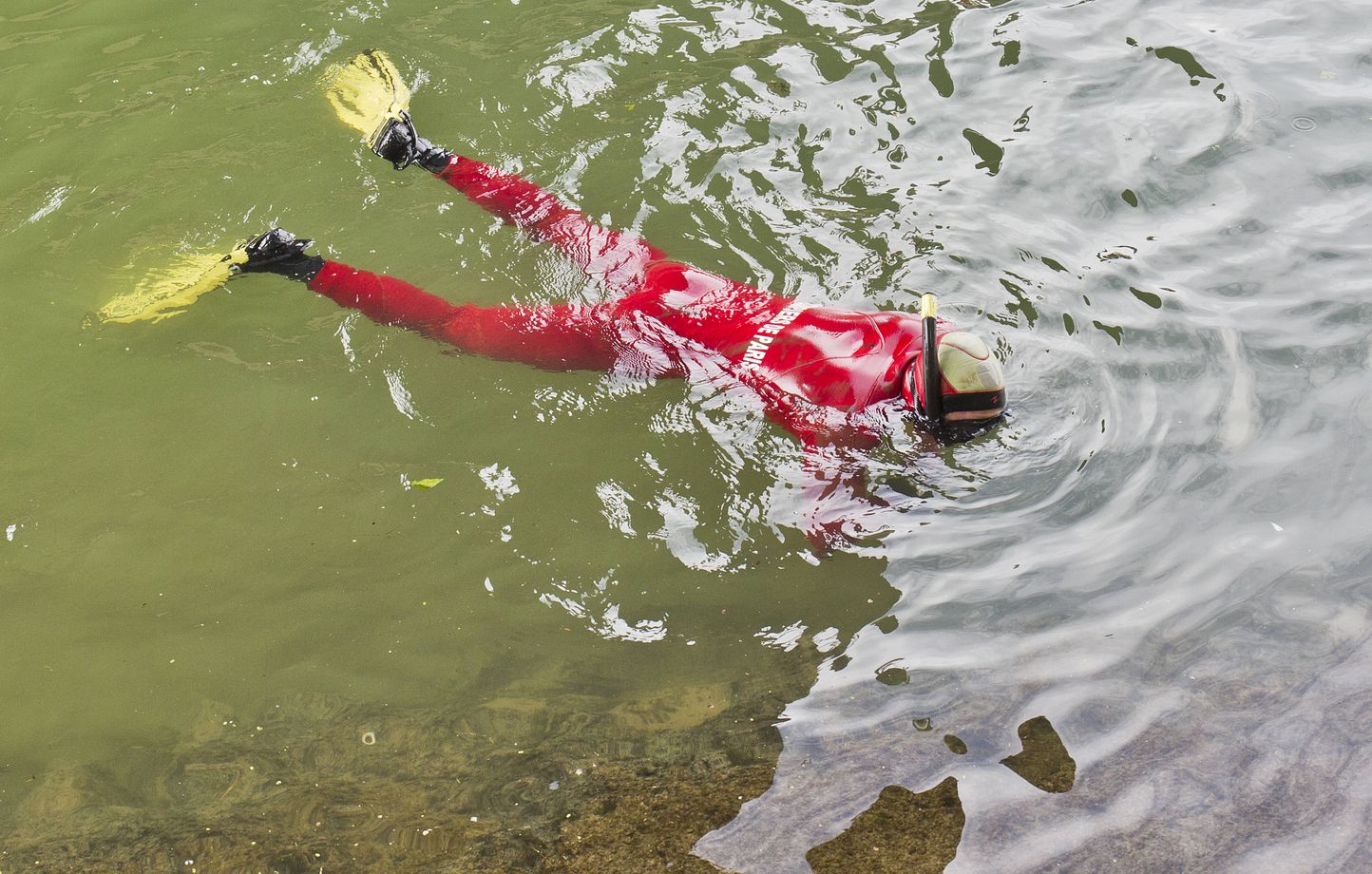 Pourquoi les plongeurs se jettent-ils à l'eau en se laissant tomber par l'arrière ? thumbnail