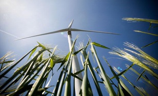 Le parc d’éoliennes d’Avignonet-Lauragais.