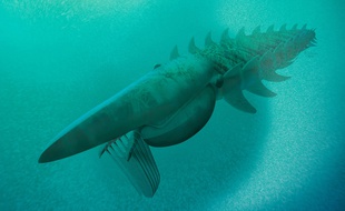 Une illustration de Aegirocassis benmoulae