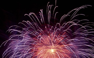 Un feu d'artifice. Illustration.