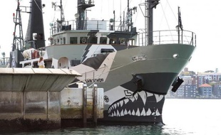 Trois navires de Sea Shepherd ont quitté mercredi l'Australie pour poursuivre les baleiniers japonais dans les eaux de l'Antarctique, lançant ainsi la 10e campagne annuelle de l'association de défense des océans.