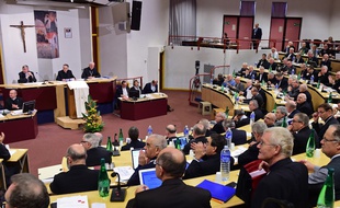 La Conférence des évêques de France à Lourdes, en 2014.