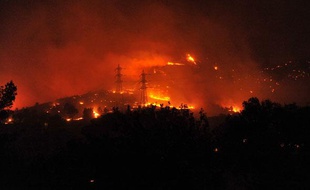 Un incendie brûle 1.100 hectares aux portes de Marseille, le 22 juillet 2009.