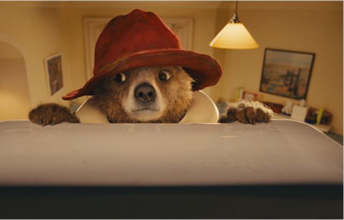 Comment Dit On Ours En Anglais Paddington»: Un ours anglais à la conquête de la France