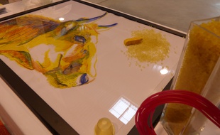 Le 18 septembre 2014, à Saint-Fons. La société lyonnaise Lactips fabrique du plastique à base de protéine de lait de vache. Une technologie qui permet déjà de fabriquer des craies pour aquarelle ou des films d'emballages hydrosolubles pour dosettes de lessive.