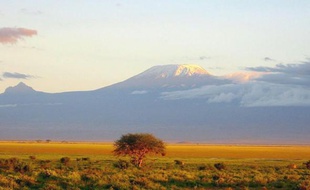 Une vue du Mont Kilimandjaro, depuis le parc national d'Amboseli au Kenya, le 18 avril 2004