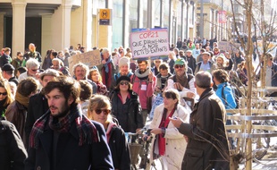 Des manifestants participent à la marche pour le climat à Toulouse, le 29 novembre 2015.