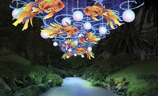 Des installations viendront illuminer tout le parc