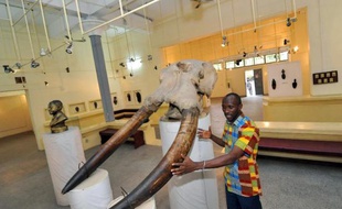 Un employé au musée des civilisations d'Abidjan le 7 février 2014
