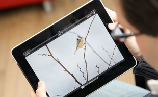 La plupart des projets soutenus par la région concernent des applications pour tablettes ou téléphones