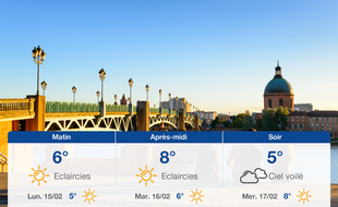 Météo Toulouse: Prévisions du dimanche 14 février 2021