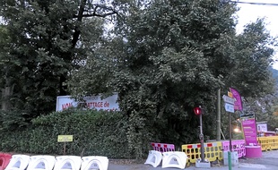Le SMTC devrait abattre les arbres qui protègent l'entrée de la copropriété.