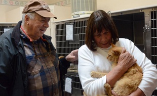 Retrouvailles entre Ginger et sa famille, décembre 2015.