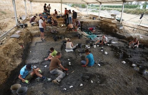 Un dinosaure vieux de 140 millions d’années se dévoile peu à peu en Charente