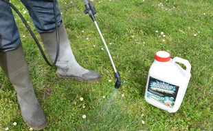 Le Roundup, le célèbre désherbant à base de glyphosate de Monsanto, est un casse-tête pour son nouveau propriétaire, Bayer.