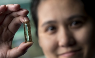 Grâce à une erreur de manipulation, Mya Le Thai a créé une batterie ultra puissante, supportant 200.000 cycles de chargement et déchargement.
