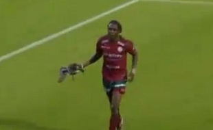Habib Habibou évacue un canard lors du match entre Zulte et Lokeren, le 31 octobre 2010 en Belgique.